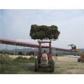 Hot Sale! Bale Handler, Bale Grab, front end loader attachments